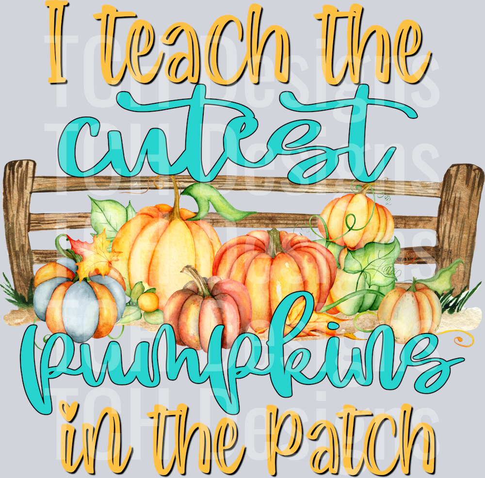 cutest pumpkins in the patch-shadow