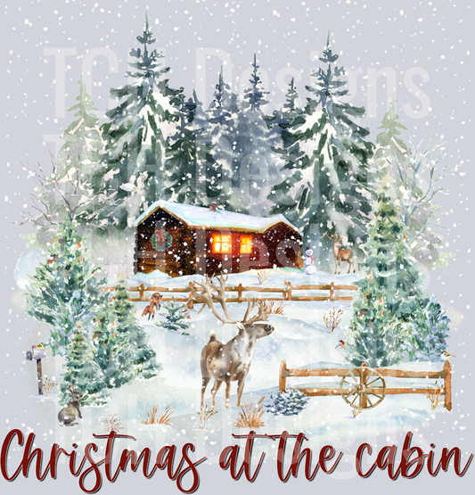 winter forest scene