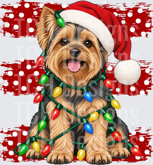 yorkie christmas