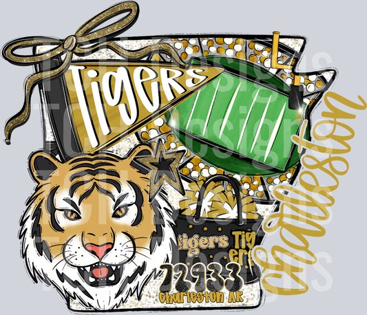 Charleston Tigers