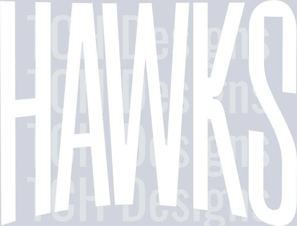 HAWKS OVERSIZED WHITE