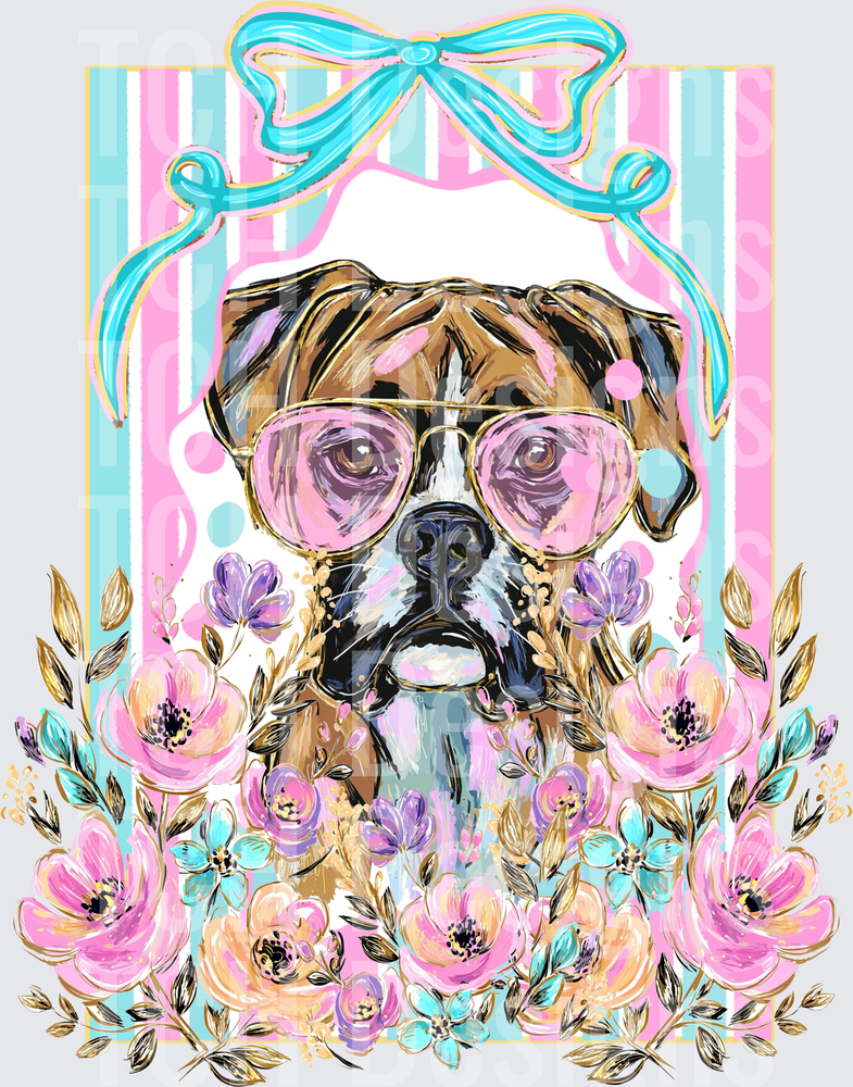 Boxer