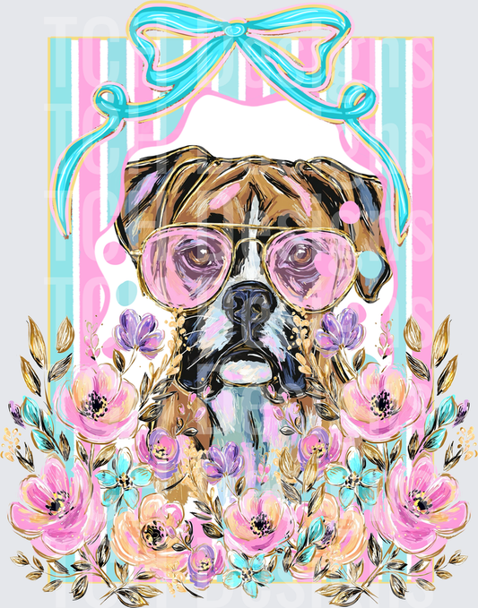 Boxer
