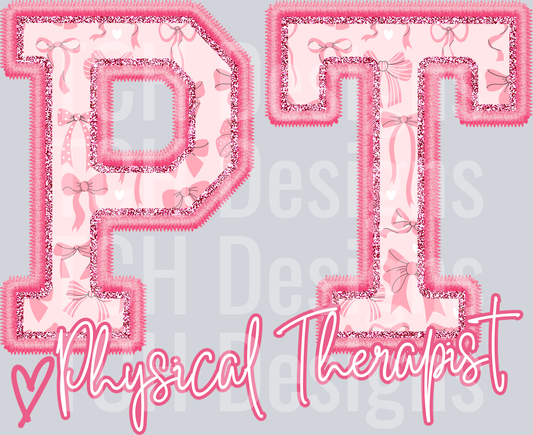 Physical Therapist