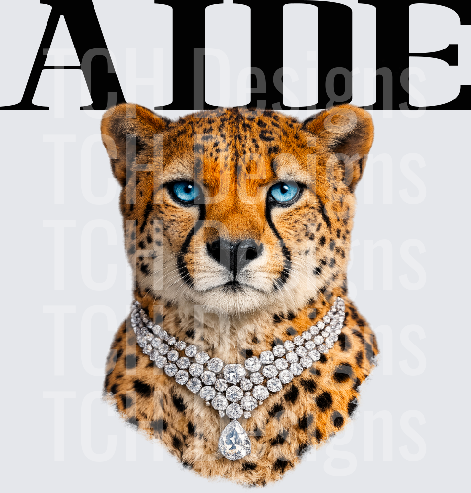 aidecheetah
