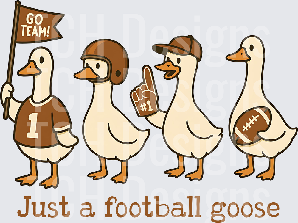 Just A Football Goose