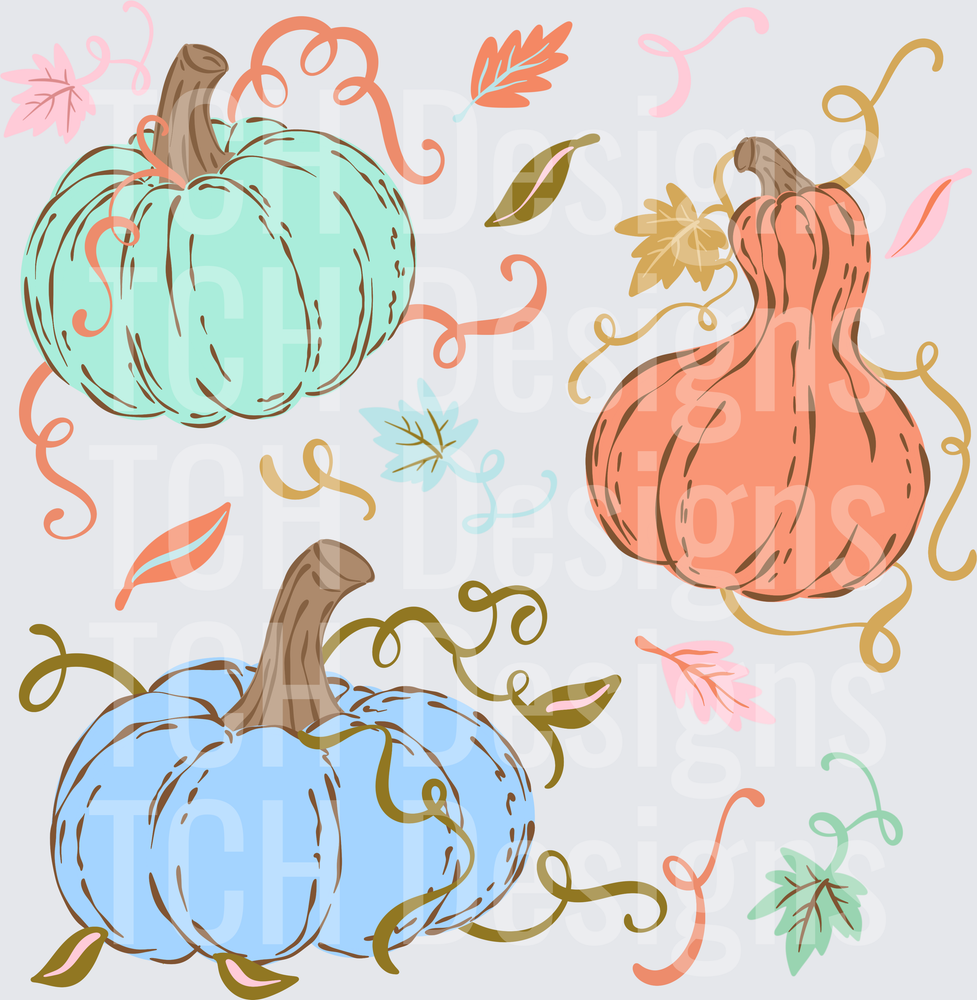 pumpkins & gourds
