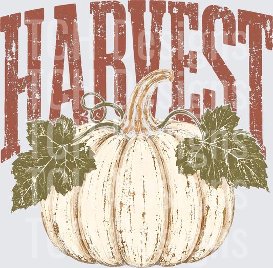 Harvest Pumpkin Distressed