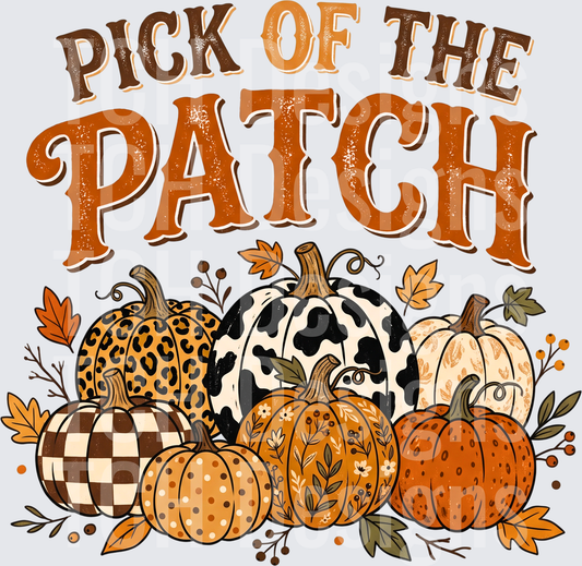 PICK OF THE PATCH