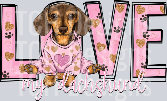 Dachshund