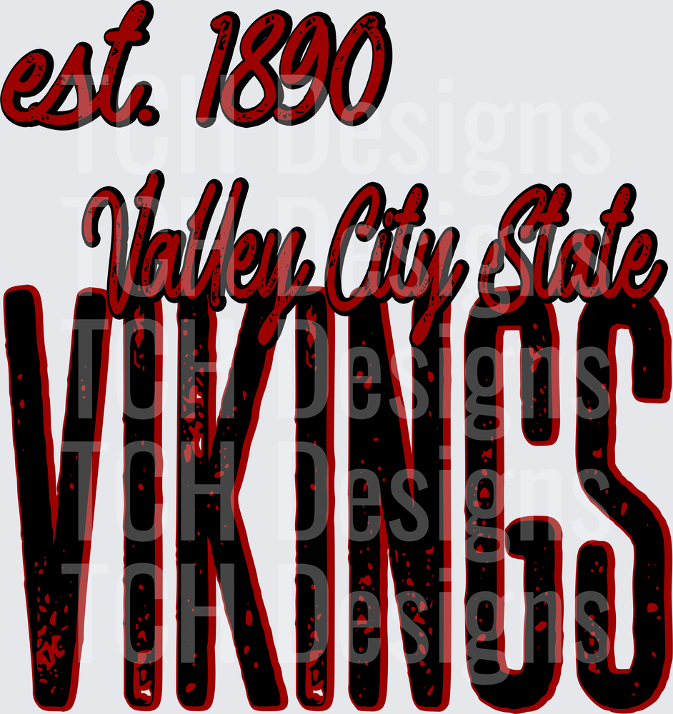 Valley City State Vikings