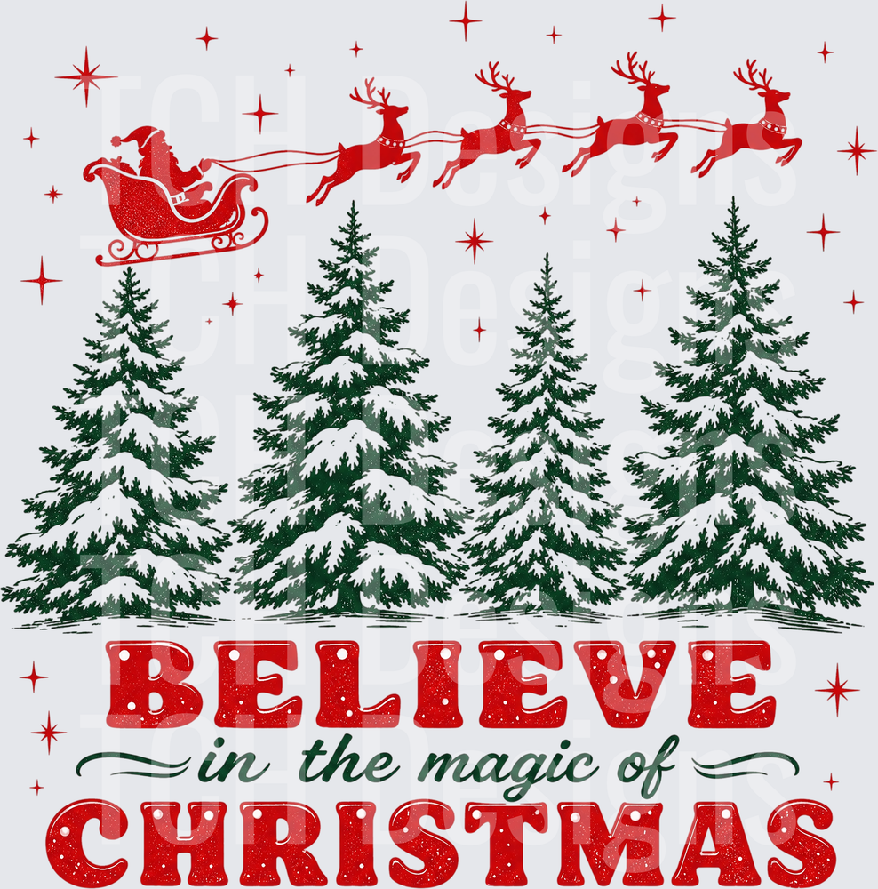 Believe in the Magic of Christmas Santa Sleigh