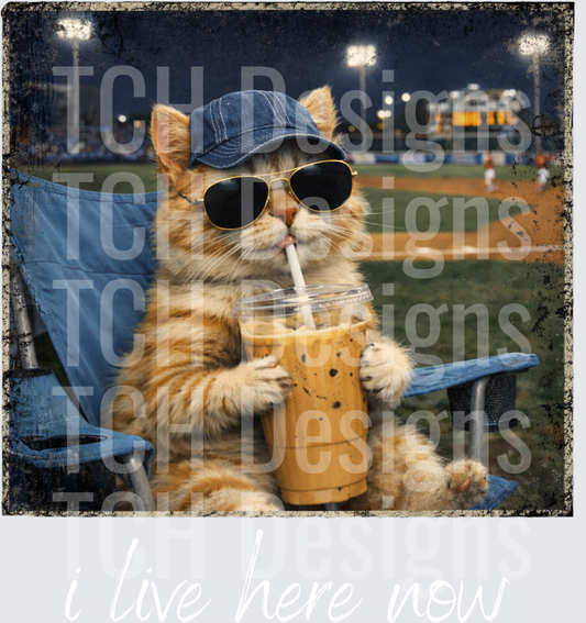 Cool Orange Tabby Cat Sipping Iced Coffee at Baseball Game
