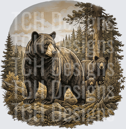 BEAR
