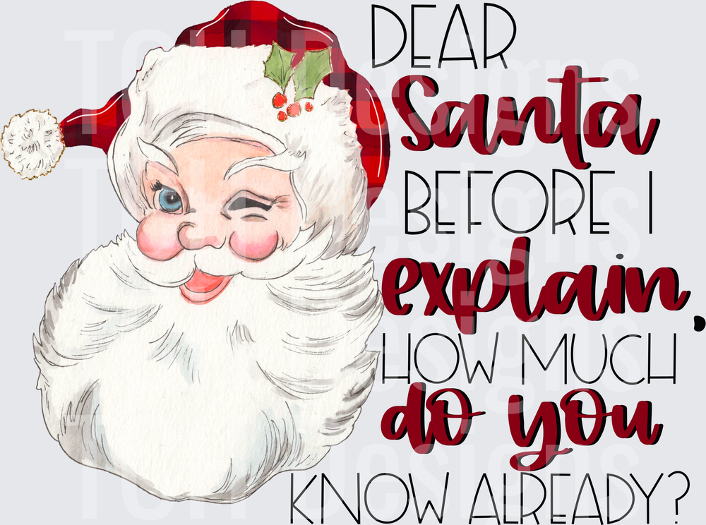 DEAR SANTA