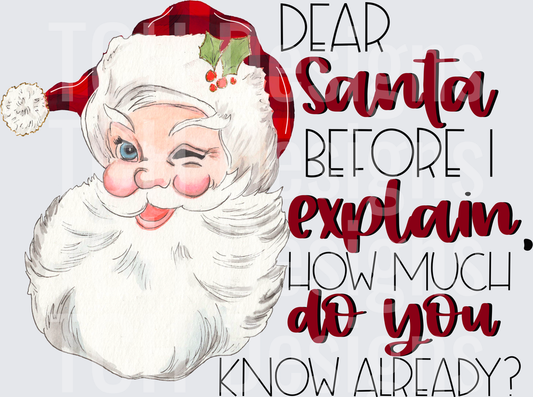 DEAR SANTA