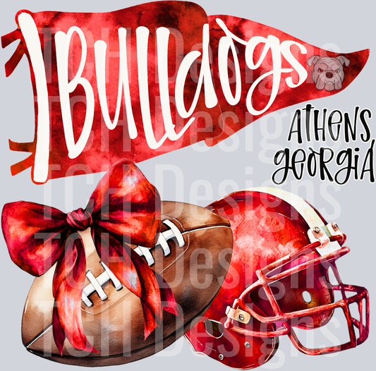 Georgia Bulldogs (1)