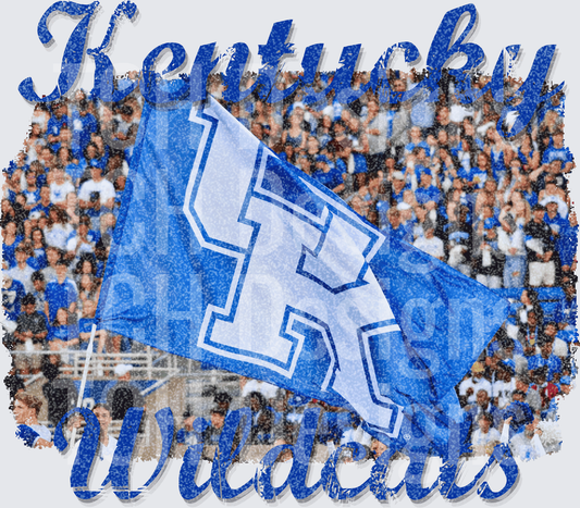 WILDCATS