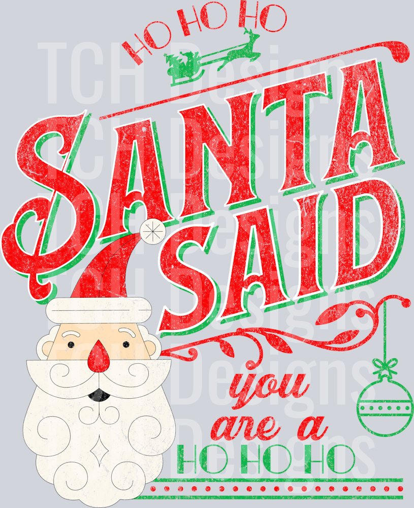 santa said you are a ho ho ho 1 HWDS