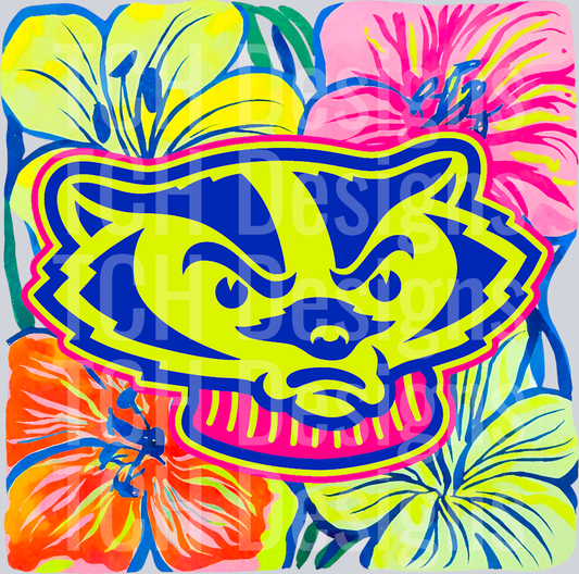 WisconsinBadgers
