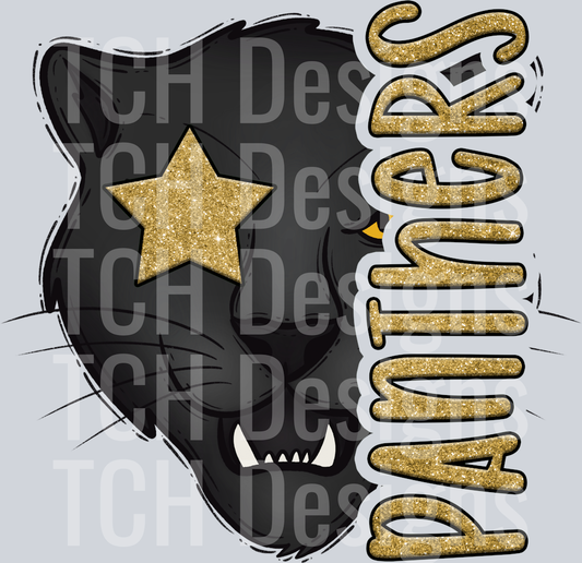 Panthers 99