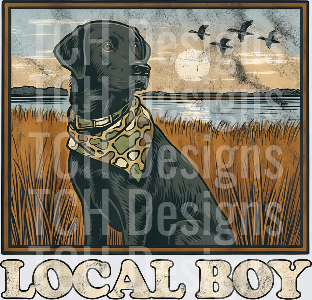 Local Boy Black Lab Duck Hunting Marsh Scenic Vintage