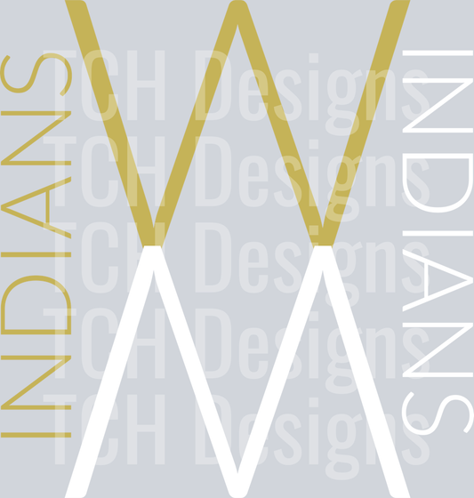 AUG8INDIANS