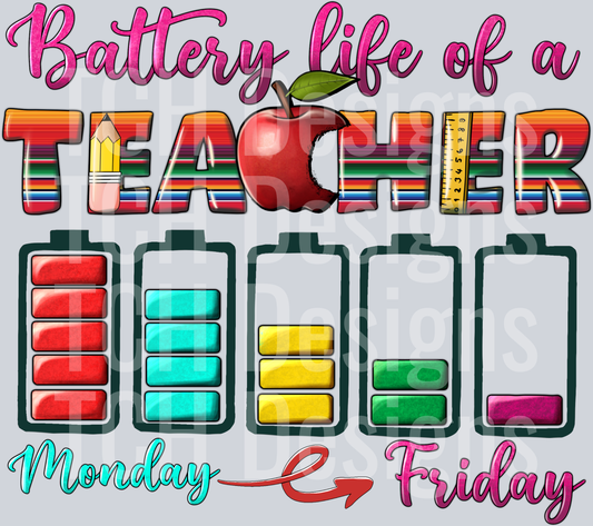 teacher