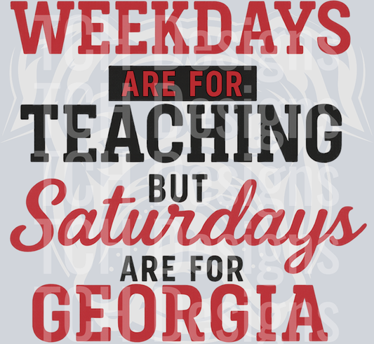 teacher- saturdays are for ga