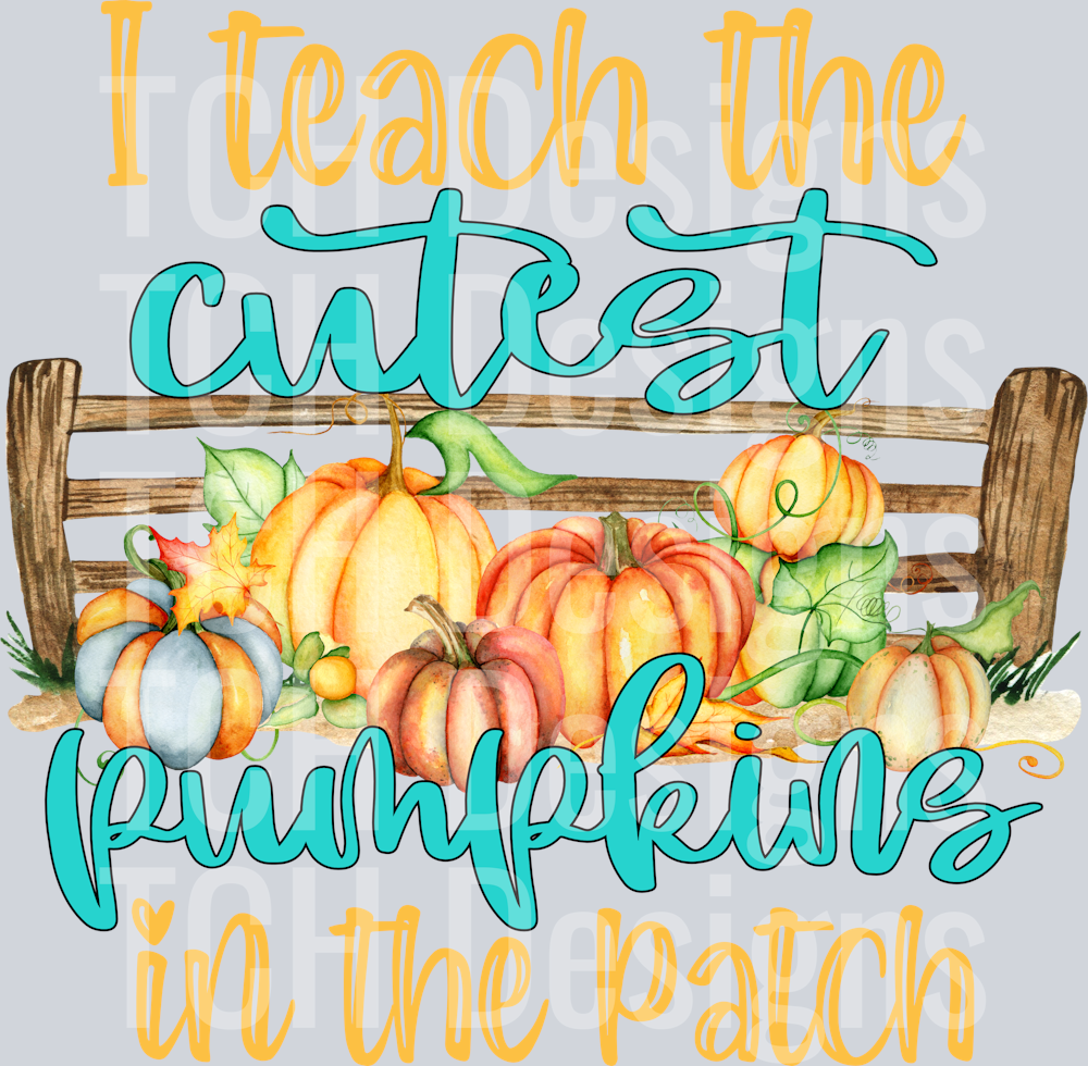 cutest pumpkins in the patch