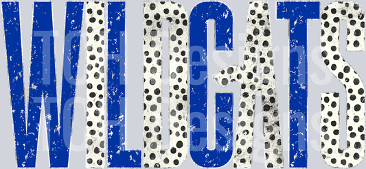 Wildcats_Distressed_Metallic_Silver_Dotty
