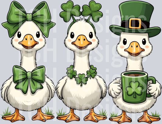 Funny St Patrick_s Day Silly Goose