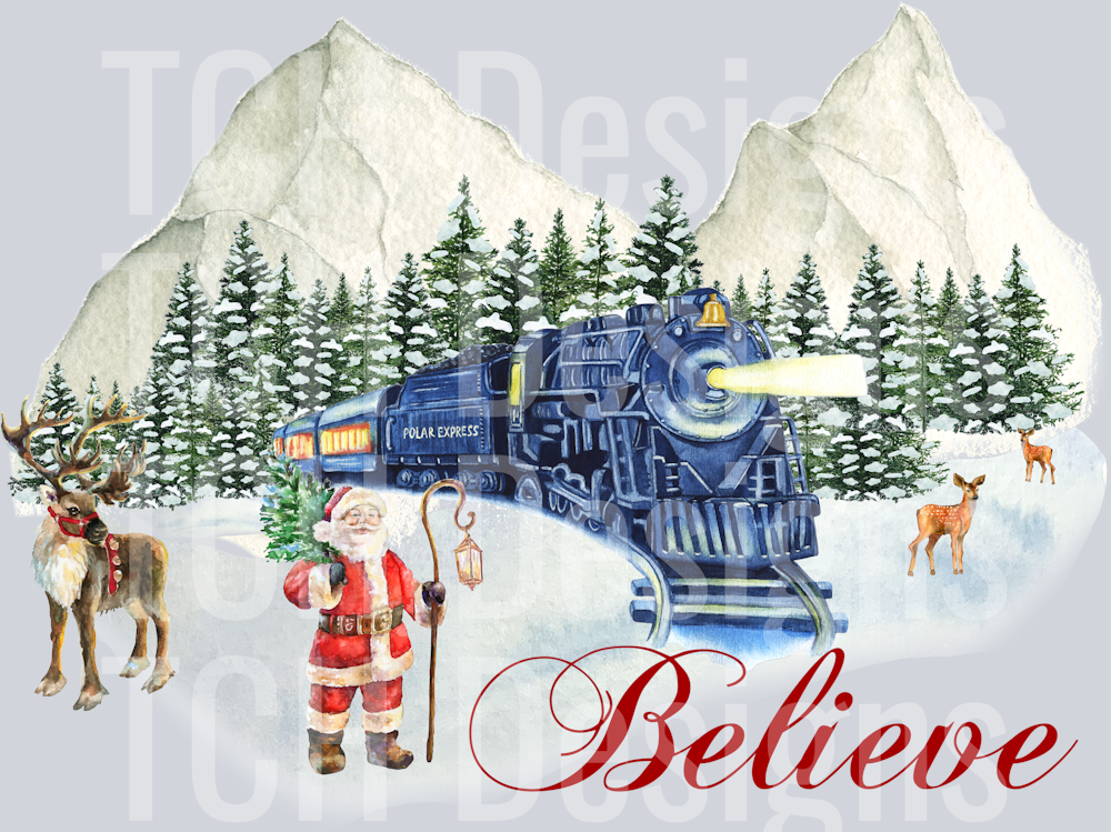 believe poalr express 2