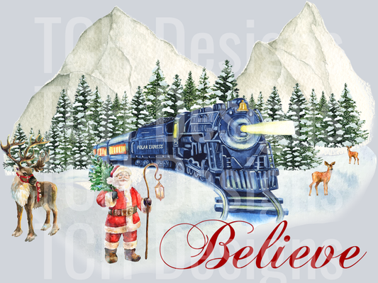 believe poalr express 2
