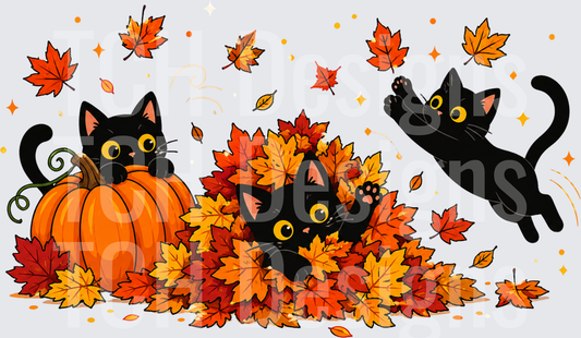 Black Cats Playing in Leaves
