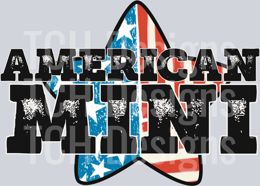 American Mini (1)