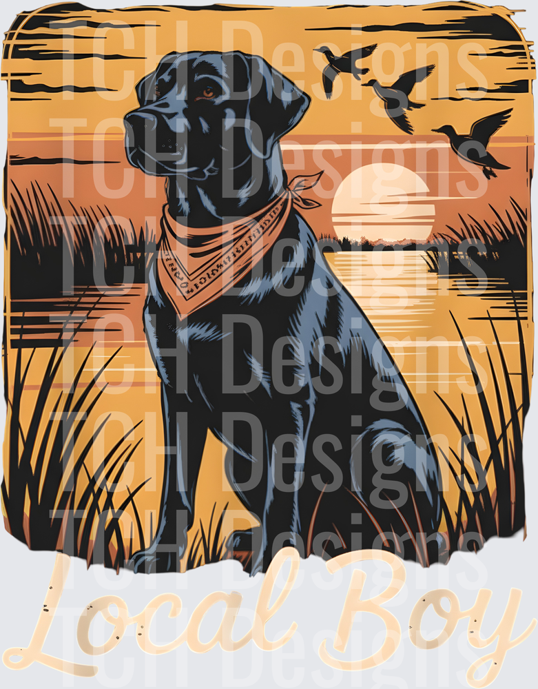 Black Lab with Bandana Sunset Duck Hunting Local Boy