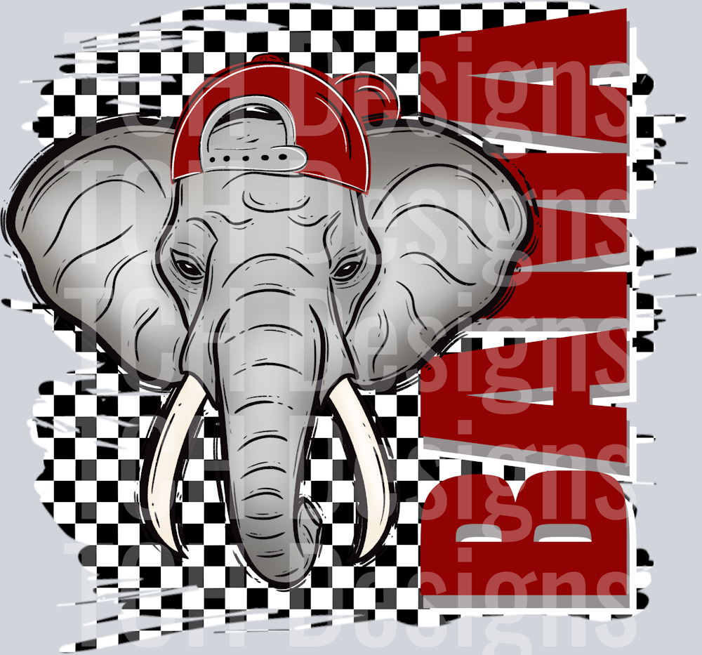 Bama  (1)