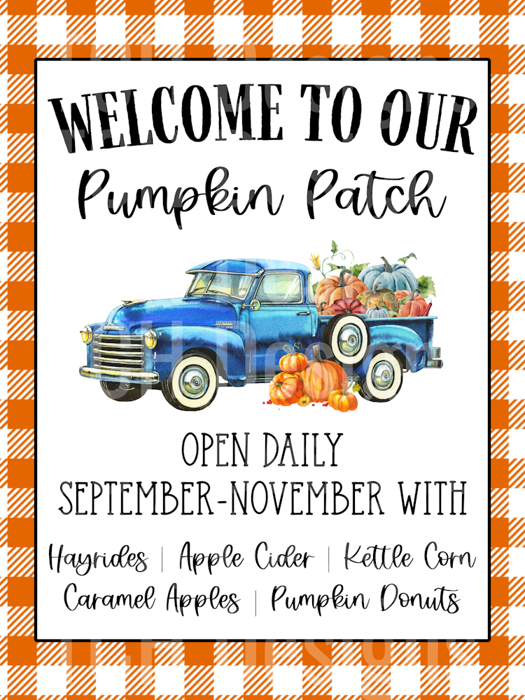 our pumpkin patch