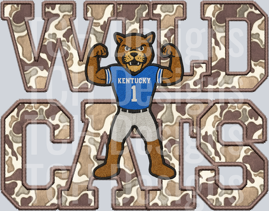 Kentucky Wildcats
