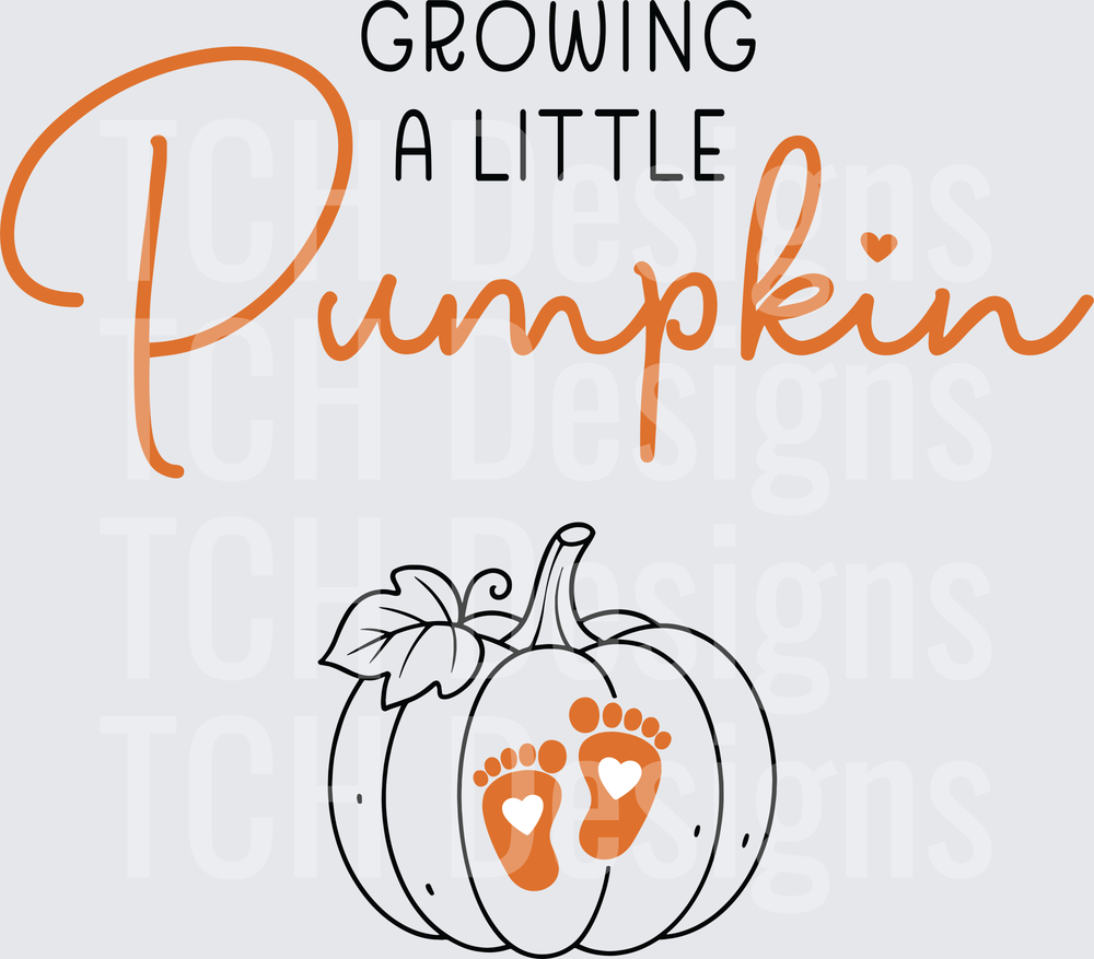 Growing Little Pumpkin