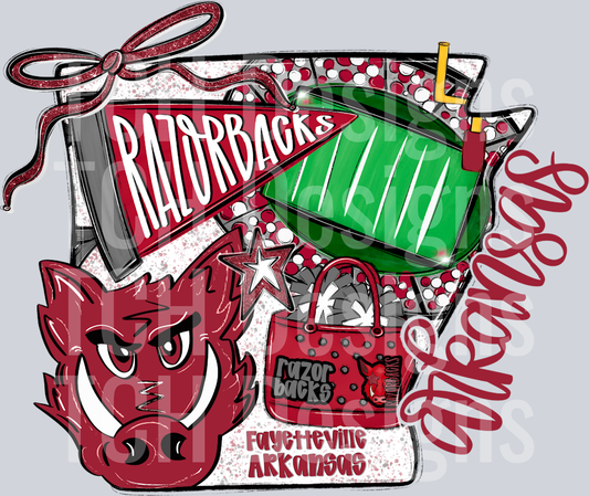 Arkansas Razorbacks